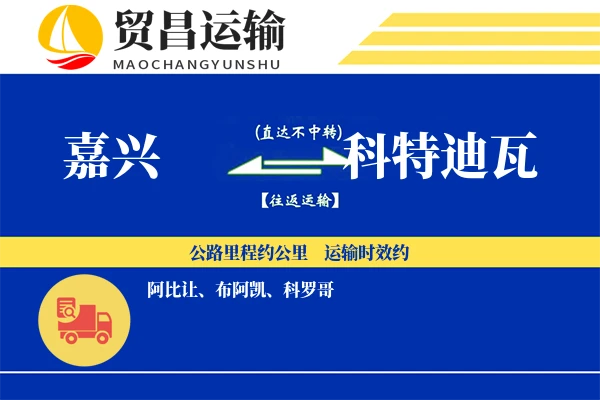 嘉兴到科特迪瓦物流专线 | 空运海运双清包税 | 门到门国际物流服务